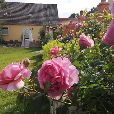 Strandhaus Mariflor *